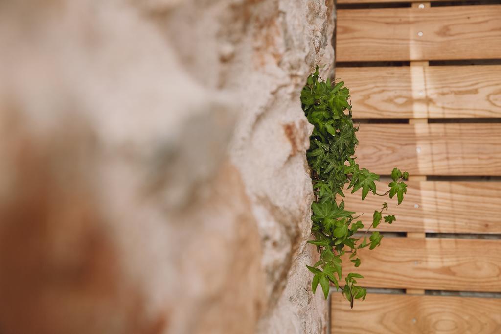 Warm Stone House Apartment Athens Exterior photo